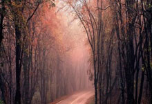 金年会:談中國女足開場丟球:身體素質差距擴大,傳控精準度仍無大幅提升!.