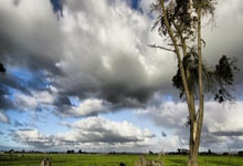 金年会:談中國女足開場丟球:身體素質差距擴大,傳控精準度仍無大幅提升!.