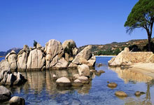 滕哈格:這是一個可怕的開局,但我認為球隊踢得非常出色!.